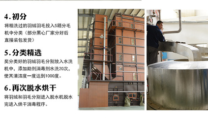 【羽絨羽毛水洗白鴨毛片 枕頭床墊填充原材料 2~4cm鴨毛片工廠批發(fā)】?jī)r(jià)格,廠家,圖片,羽毛、羽絨,安徽方翔羽絨制品-